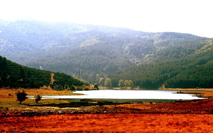 Il Parco Nazionale della Sila in Calabria