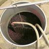 Vendemmia Cirò- Una fase di lavorazione del mosto per ottenere il vino