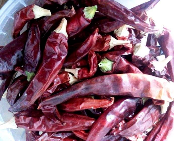 Peperoncino rossi e piccanti Calabresi 