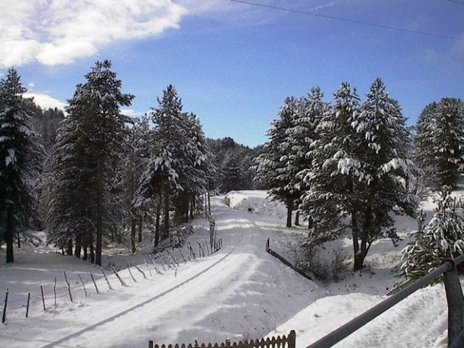 Tipico paesaggio innevato in Calabira 