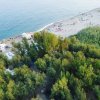 Spiaggia con alberi e camper vicino all'acqua.