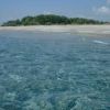 Acqua trasparente di mare con spiaggia sabbiosa e vegetazione in lontananza.