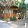 Una casetta di legno circondata da alberi e arbusti, con un vialetto di mattoni e un lampione.