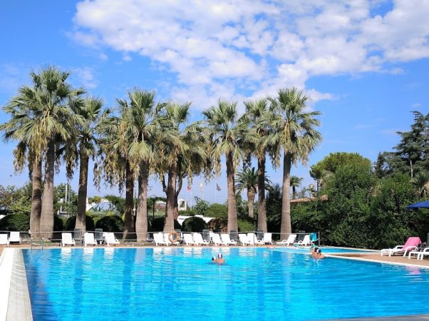 Piscina all'aperto con sedie a sdraio e palme.