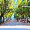 Viale alberato con roulotte, che conduce verso il mare.