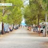Strada tra camper e tende con alberi.