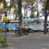 Area di campeggio con camper, biciclette e alberi.