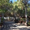 Viale alberato con panchine e cartelli.