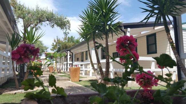 Bungalow in giardino con fiori rosa.